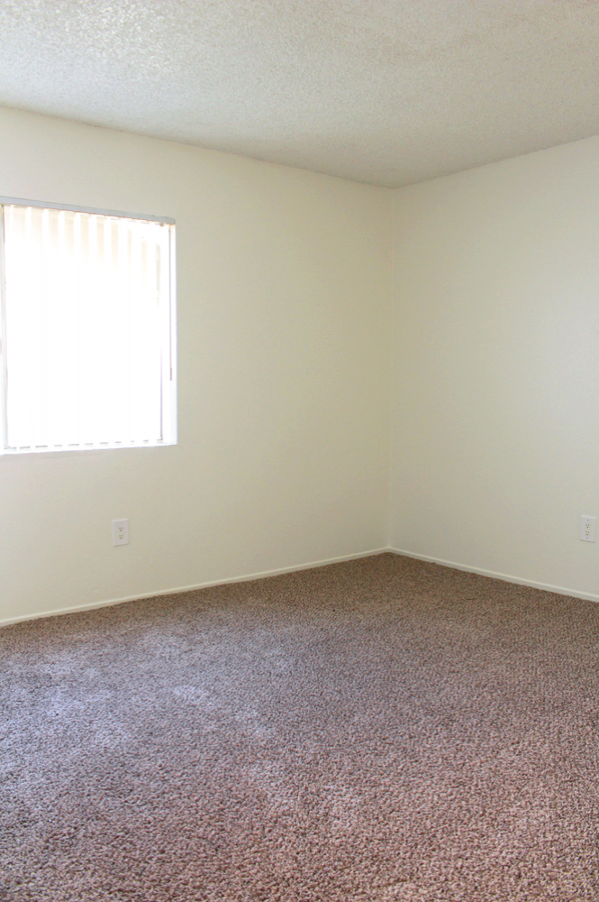 This Interiors 1 3 photo can be viewed in person at the Northpointe Apartments, so make a reservation and stop in today.